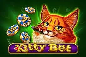 Kitty Bet